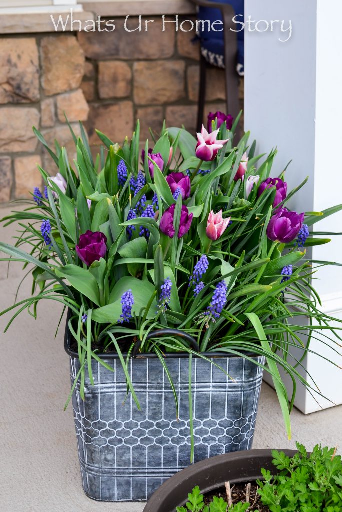 Simple Spring Wreath