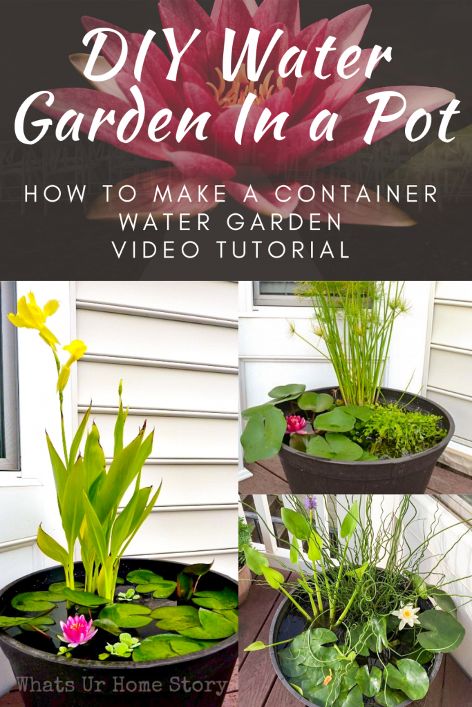 Water Garden in a Pot v8 & My YouTube Channels