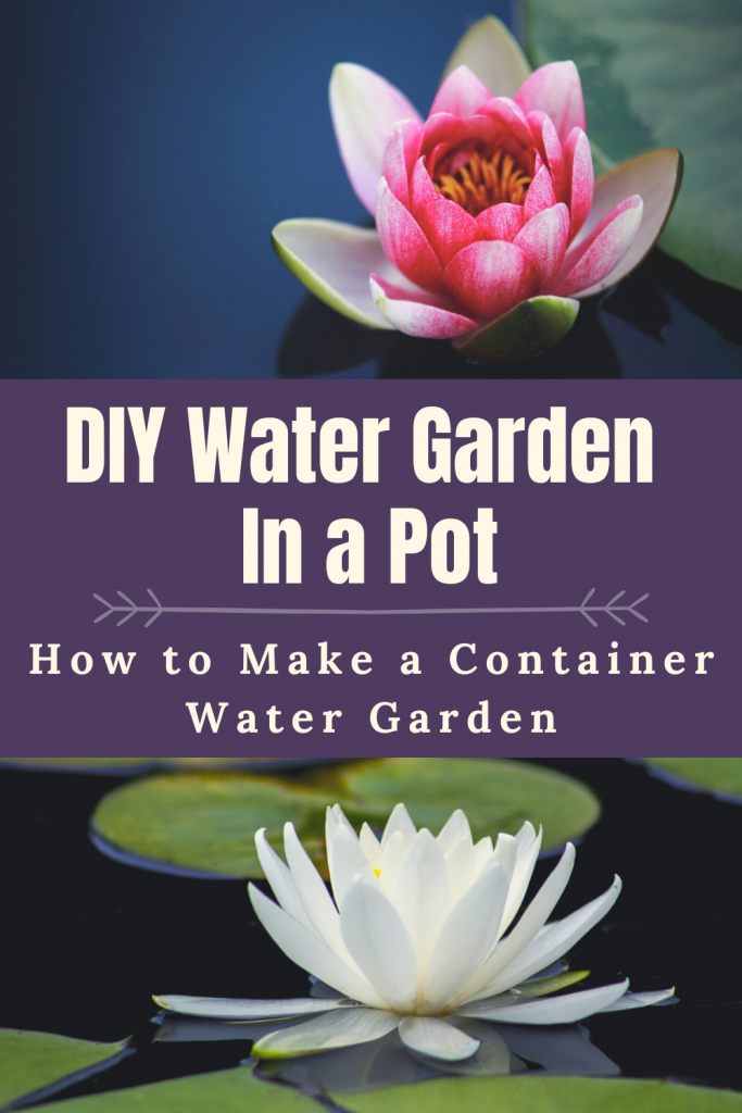 How to Set up Mini Water Gardens on Your Deck
