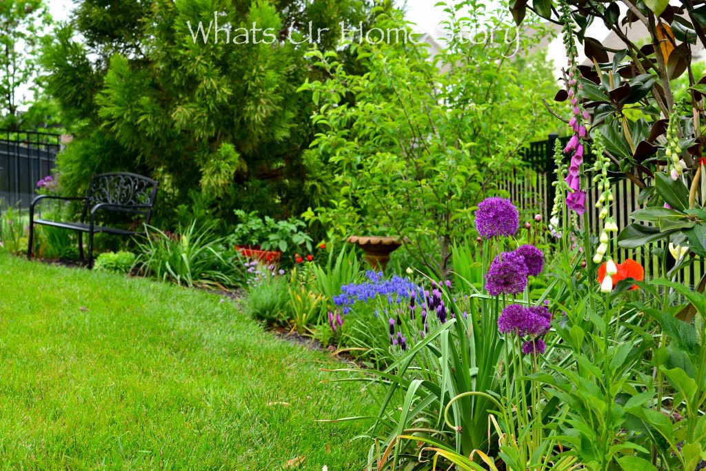 Small Yard Garden Tour May 2020