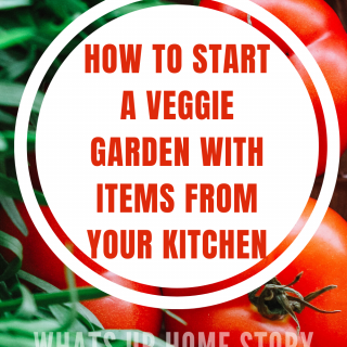 How to start a vegetable garden with items in your kitchen