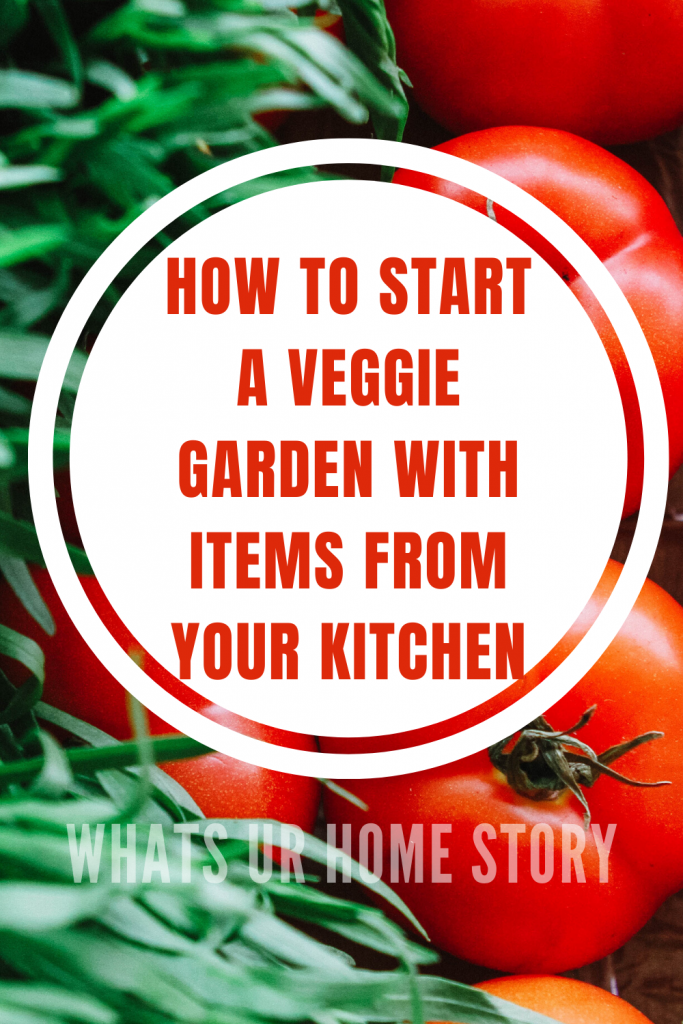 Starting A Vegetable Garden For Beginners