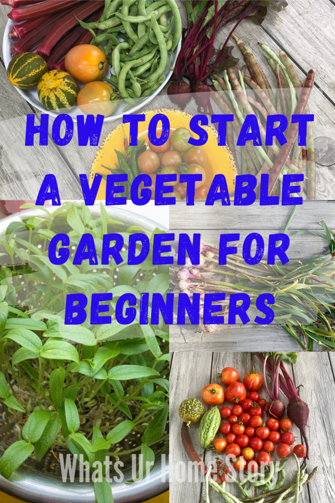 Starting A Vegetable Garden For Beginners