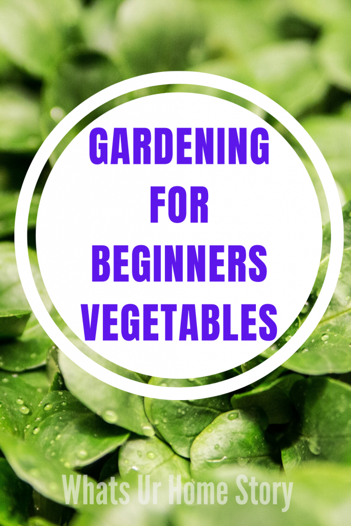 Starting A Vegetable Garden For Beginners