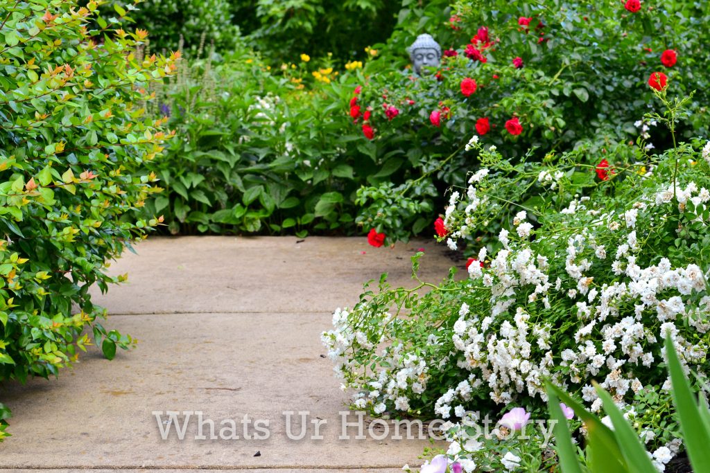 Summer Garden Tour 2020 Part 2