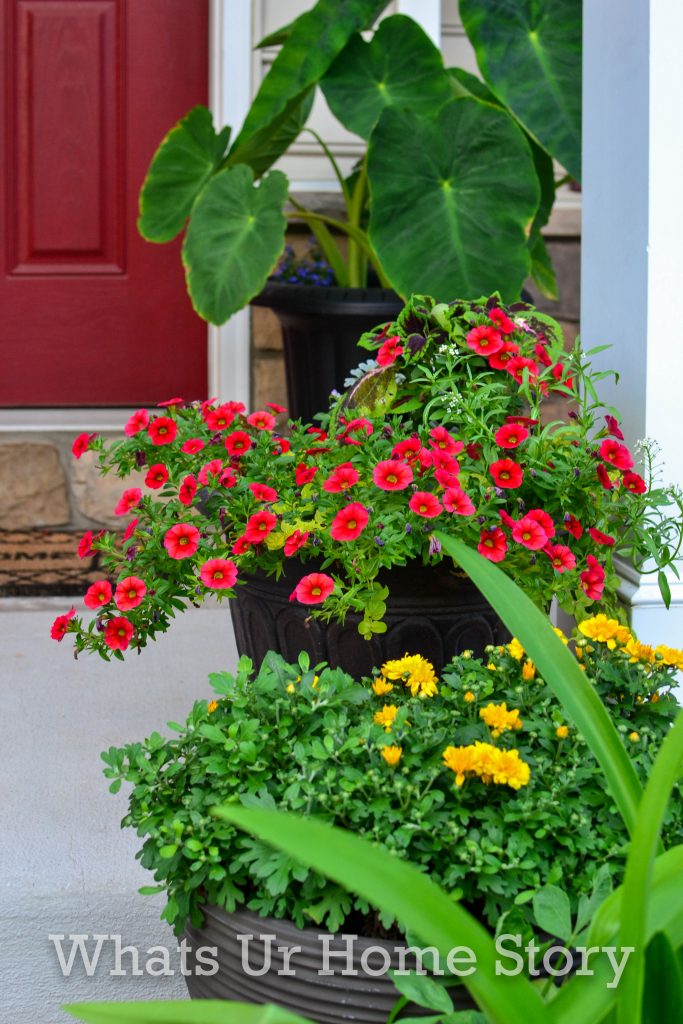 Summer Garden Tour 2020 Part 2