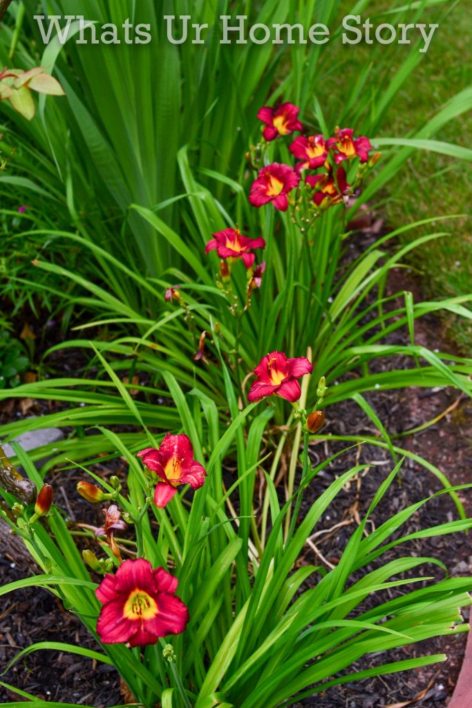 July Garden Tour Summer Cottage Garden 2020