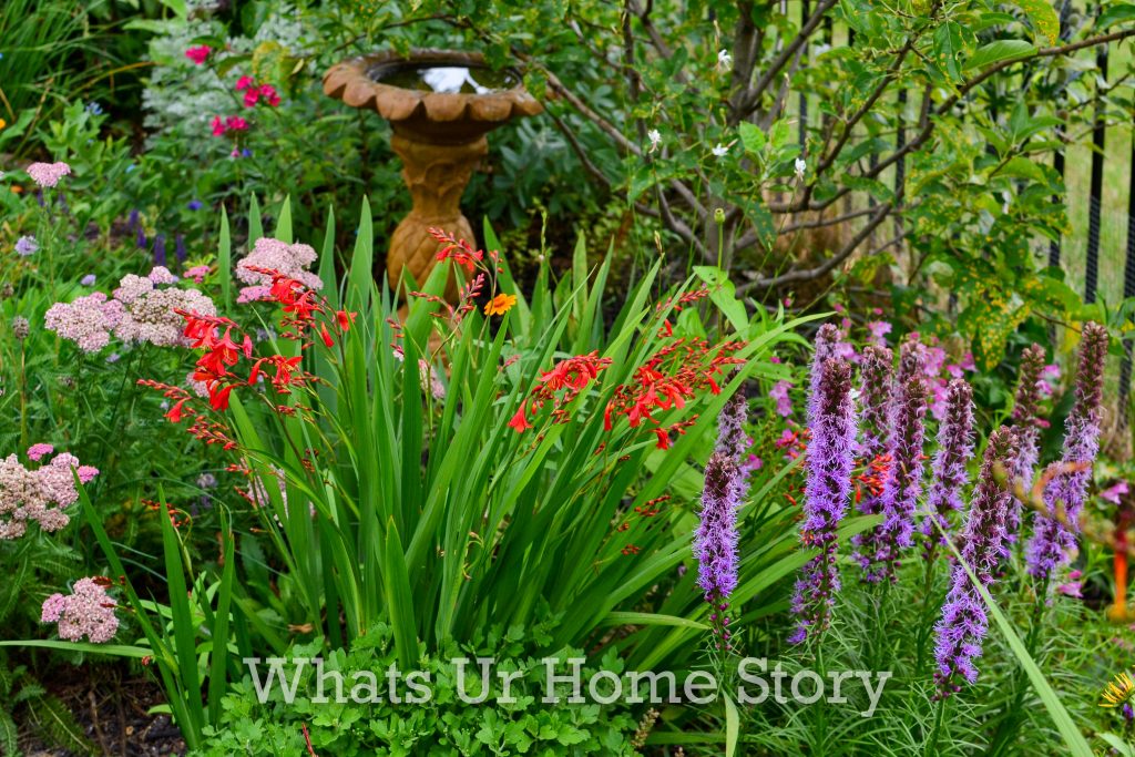 July Garden Tour Summer Cottage Garden 2020