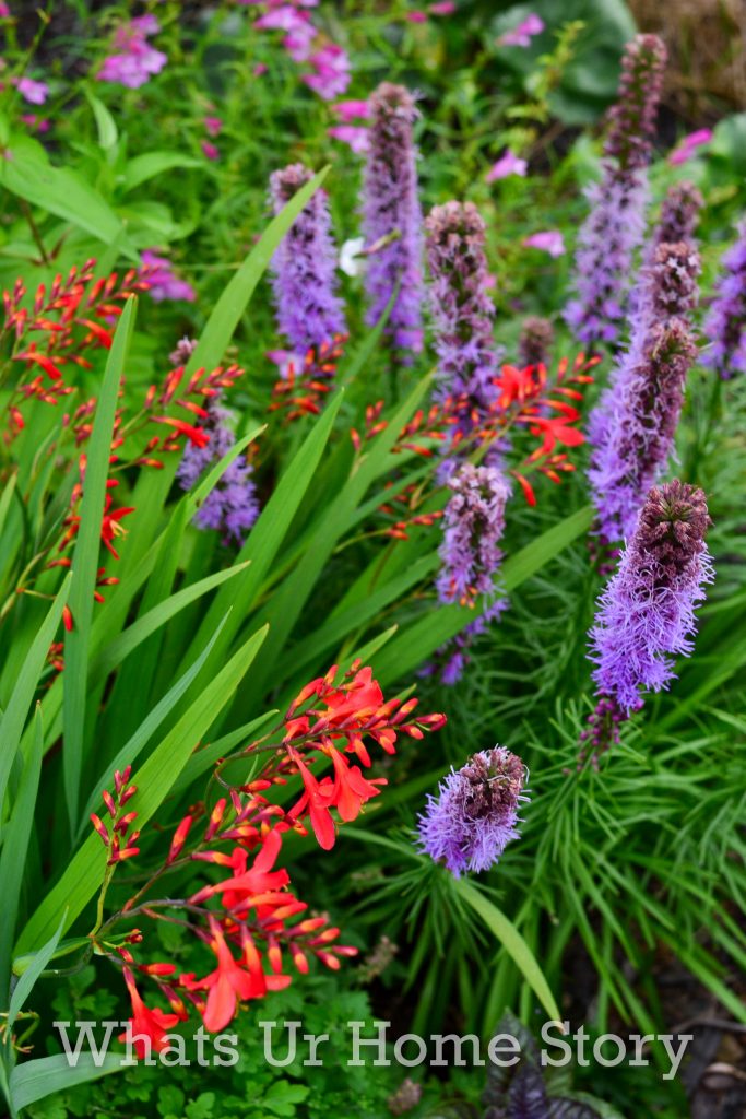 July Garden Tour Summer Cottage Garden 2020