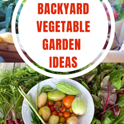 Small backyard vegetable garden ideas