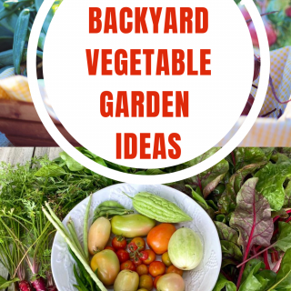 Small backyard vegetable garden ideas