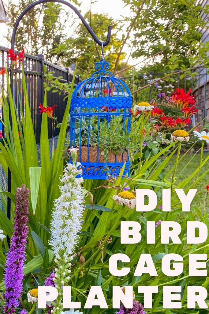DIY Plant Pot Ideas Bird Cage Planter