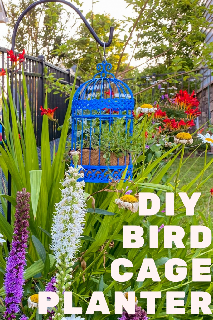 DIY Plant Pot Ideas   Bird Cage Planter