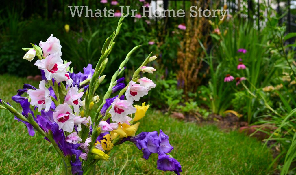 July Garden Tour Summer Cottage Garden 2020
