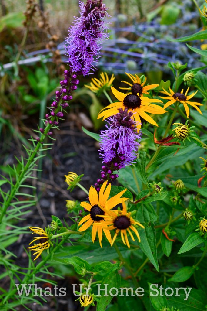 July Garden Tour Summer Cottage Garden 2020