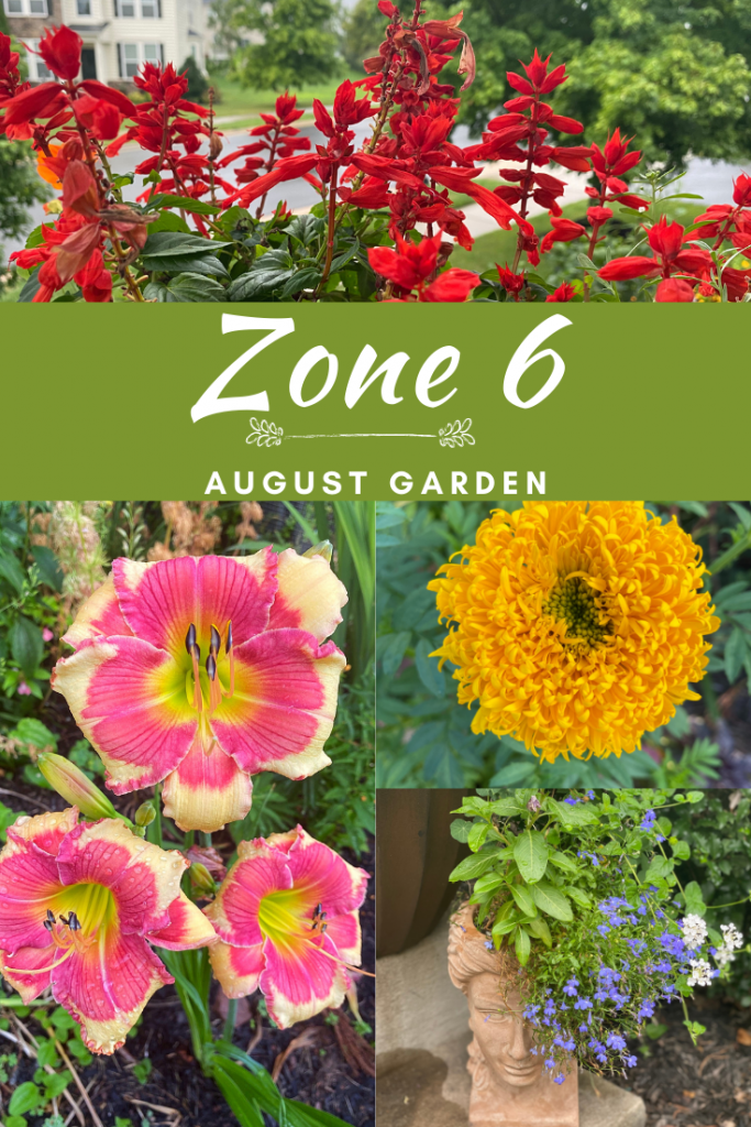 Late Summer Garden Tour