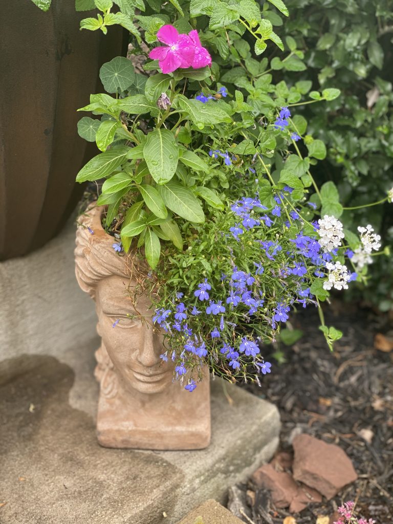 Late Summer Garden Tour