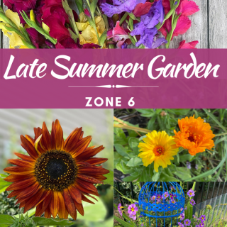 Late Summer Garden in Zone 6