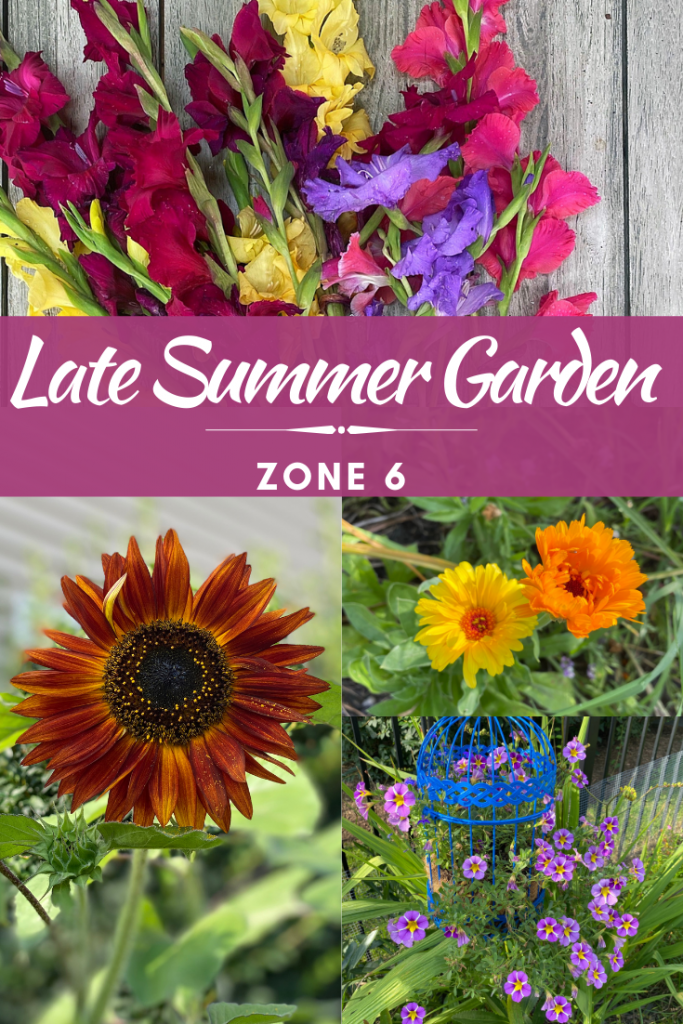 Late Summer Garden Tour