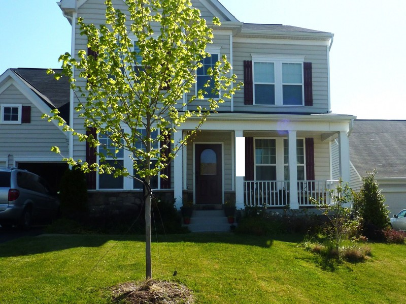 New Landscaping Reveal   Front Garden