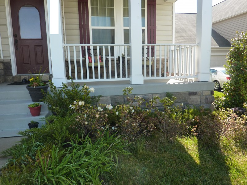 New Landscaping Reveal   Front Garden