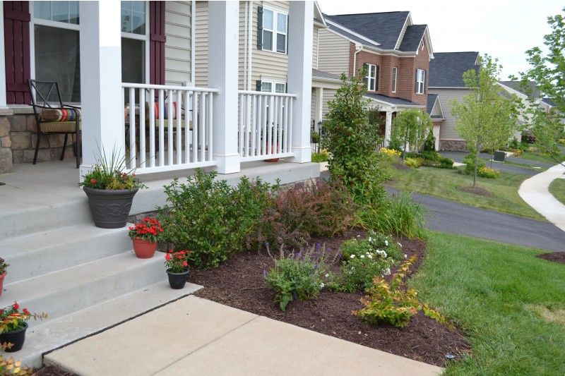 New Landscaping Reveal   Front Garden