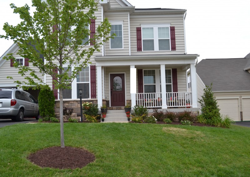 New Landscaping Reveal   Front Garden