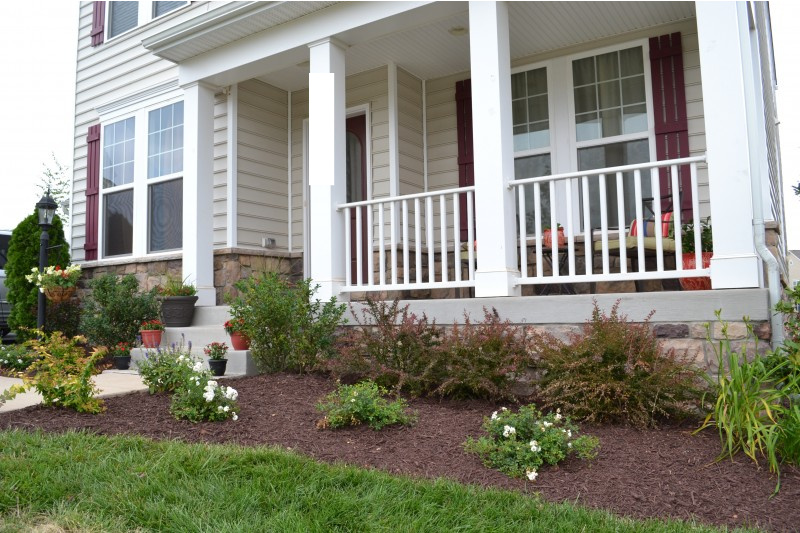 New Landscaping Reveal   Front Garden