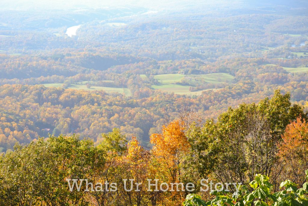 Fall Color 2020: Skyline Drive