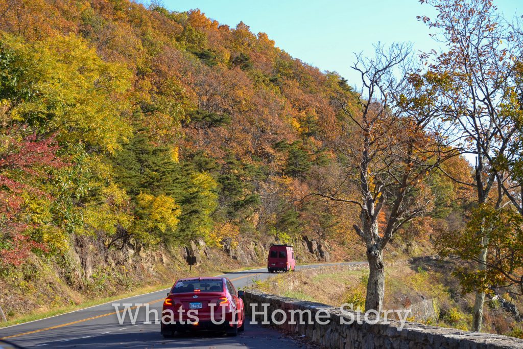 Fall Color 2020: Skyline Drive