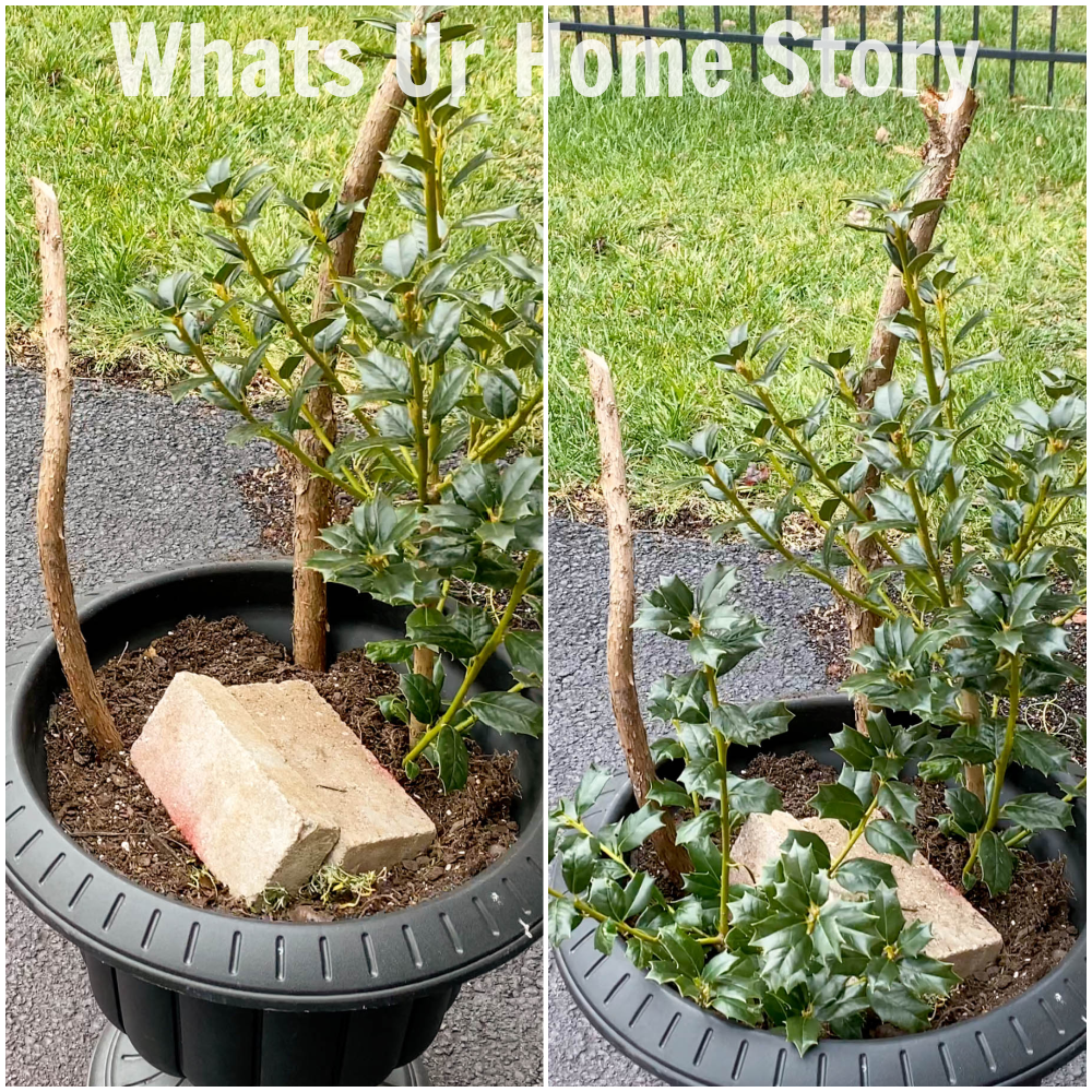 Outdoor Christmas Planter